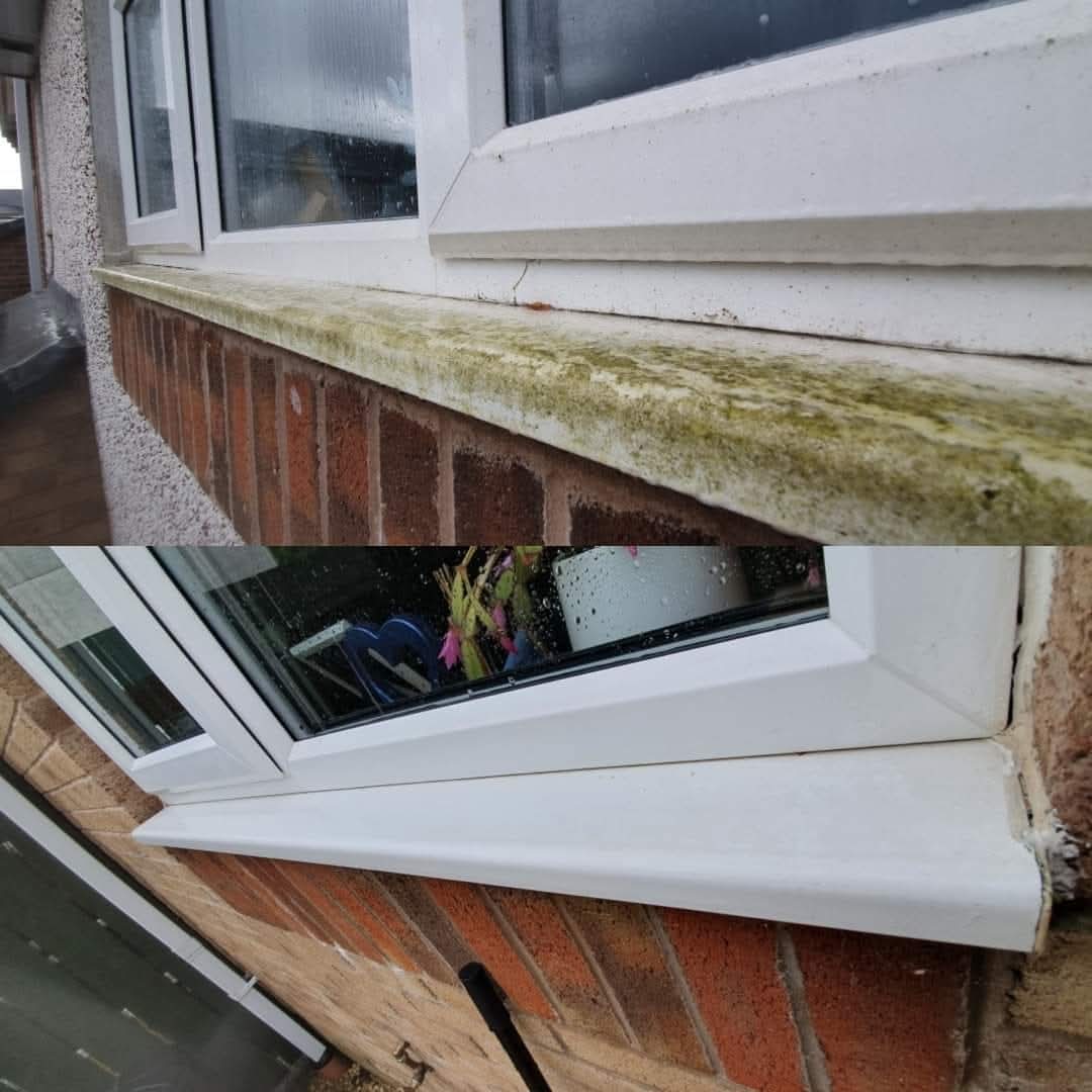 Exterior window clean on a Hampshire property — pure-water finish