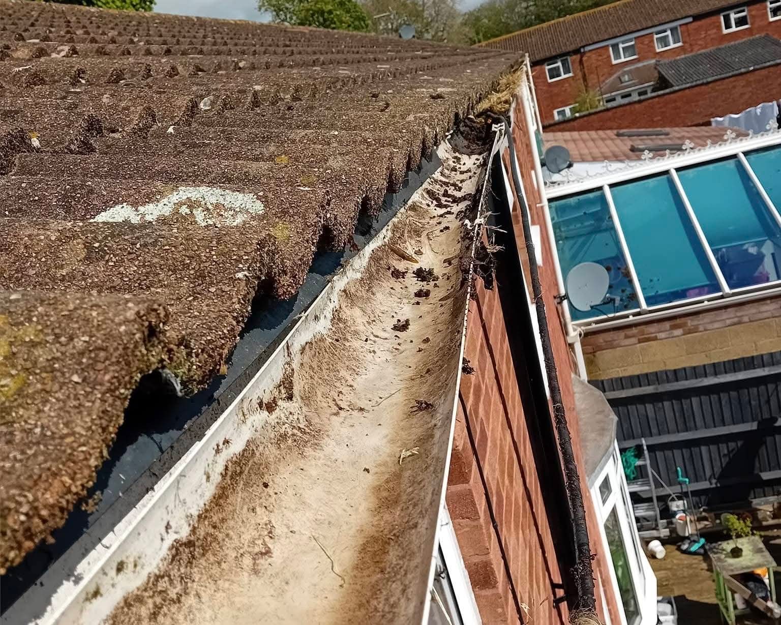 Same gutter line cleared of vegetation and washed down after professional clearance