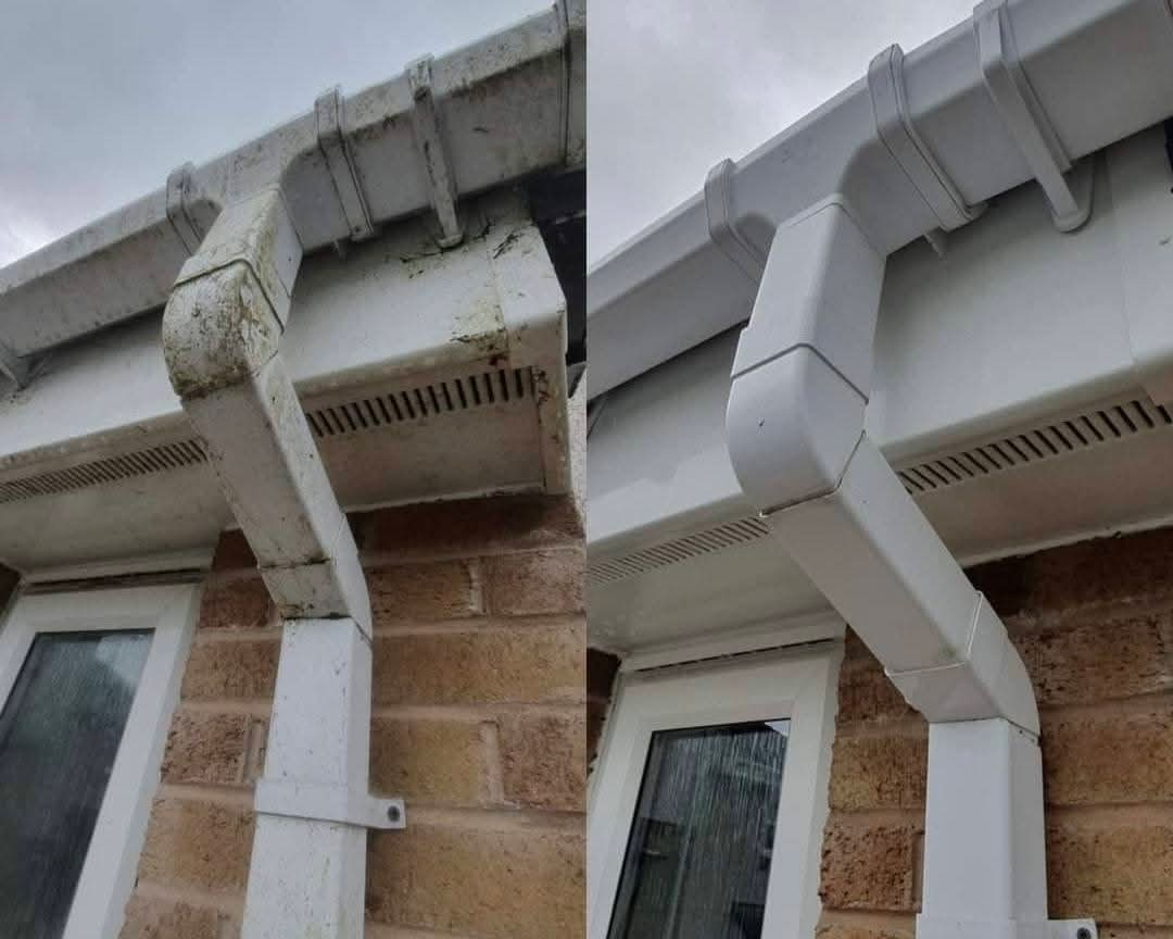 Algae-streaked UPVC guttering and downpipe cleaned back to bright white — before and after